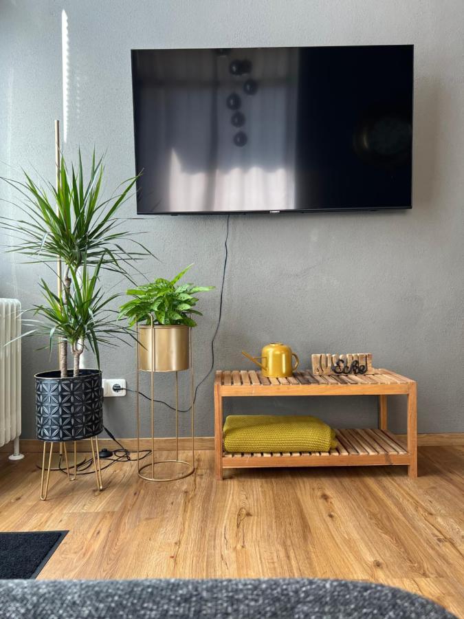 Fichtel.Flat Apartment Mehlmeisel Ngoại thất bức ảnh